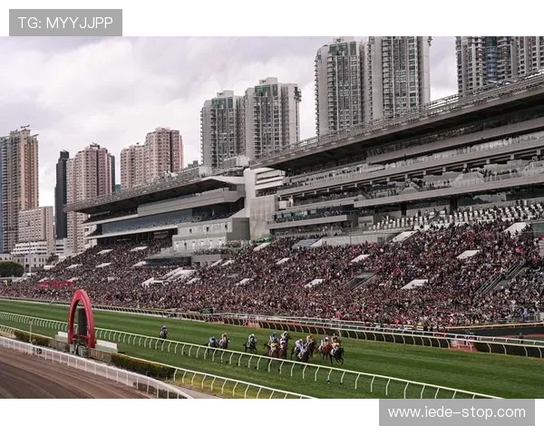 hkjc网娱乐:香港赛马会在线娱乐平台最新优惠活动与会员专属福利介绍