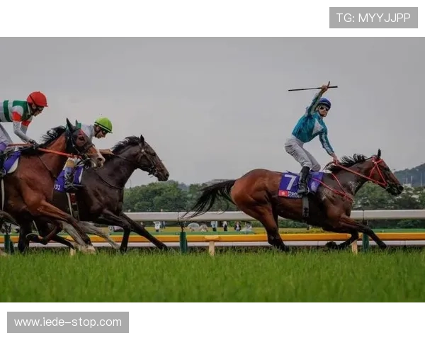 掌握赛马会网页版最新动态与优惠活动，享受丰富多彩的线上赛马娱乐体验